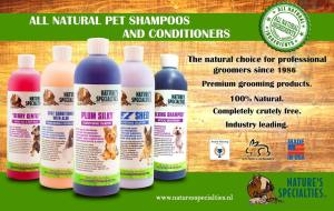 50047037_748693322171763_7402710527924764672_n